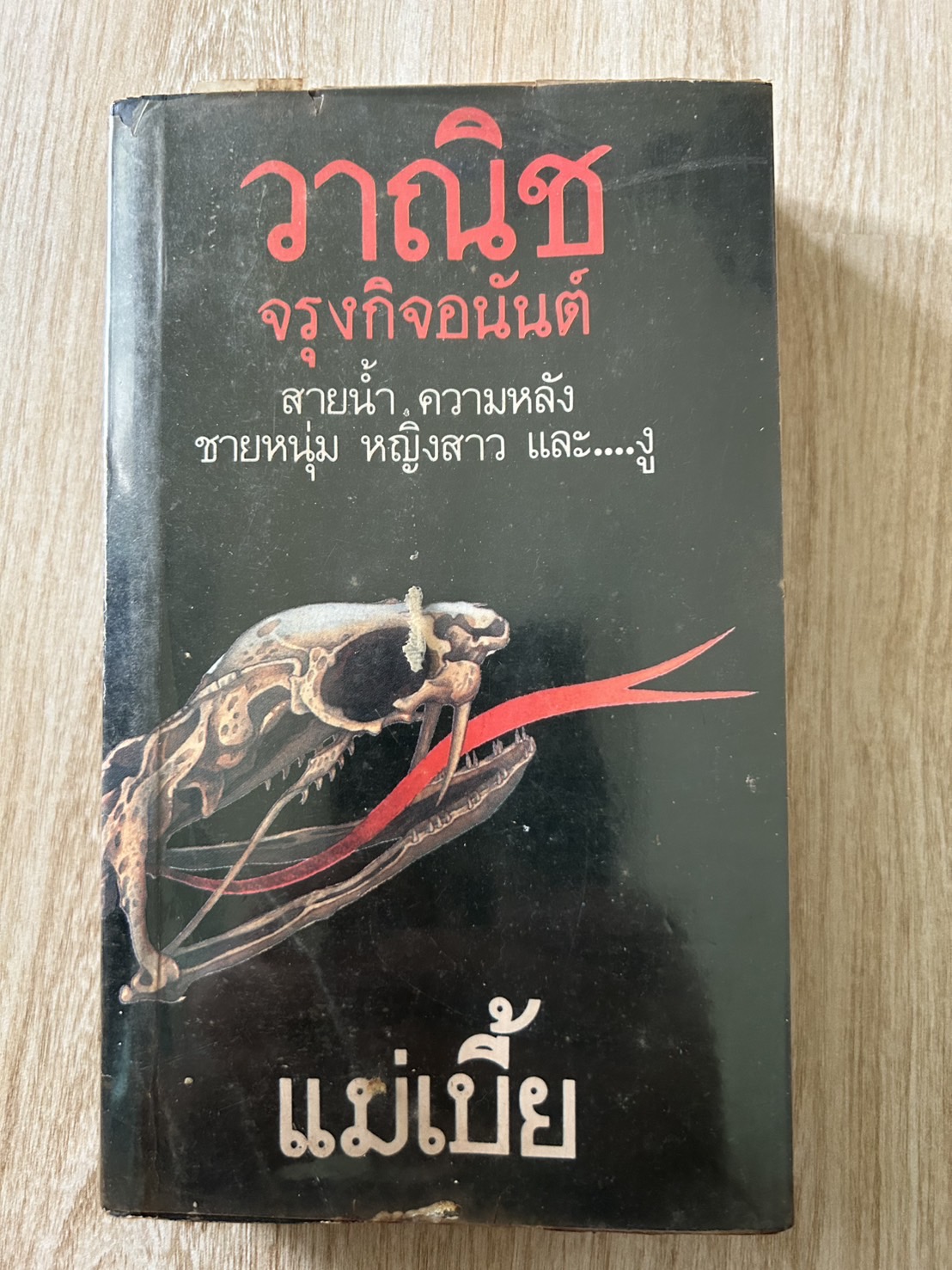 แม่เบี้ย วาณิช จรุงกิจอนันต์