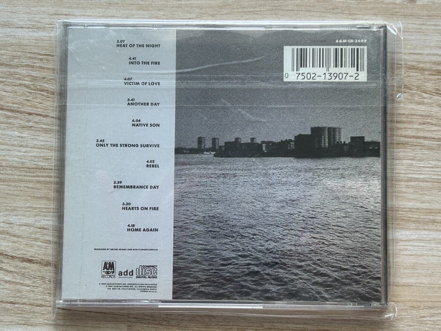 Bryan Adams – Into The Fire - Image 2